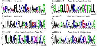 Linear Peptides—A Combinatorial Innovation in the Venom of Some Modern Spiders